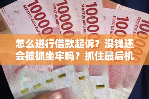 北京怎么进行借款起诉？没钱还会被抓坐牢吗？抓住最后机会！