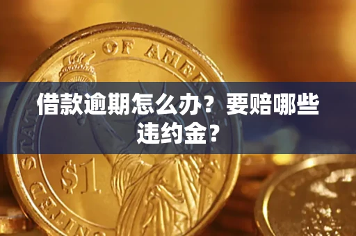 北京借款逾期怎么办？要赔哪些违约金？